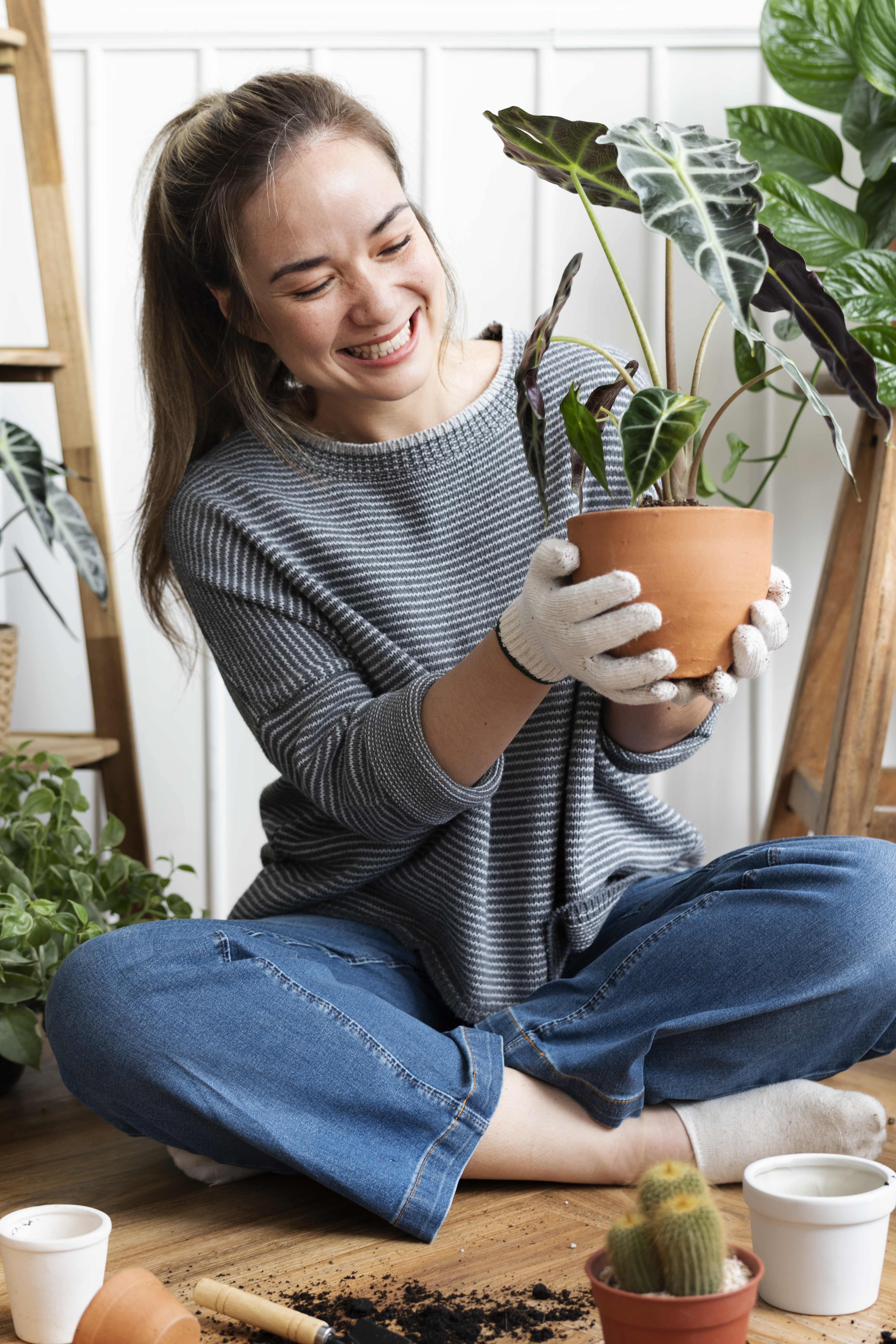Plants on a bright shelf