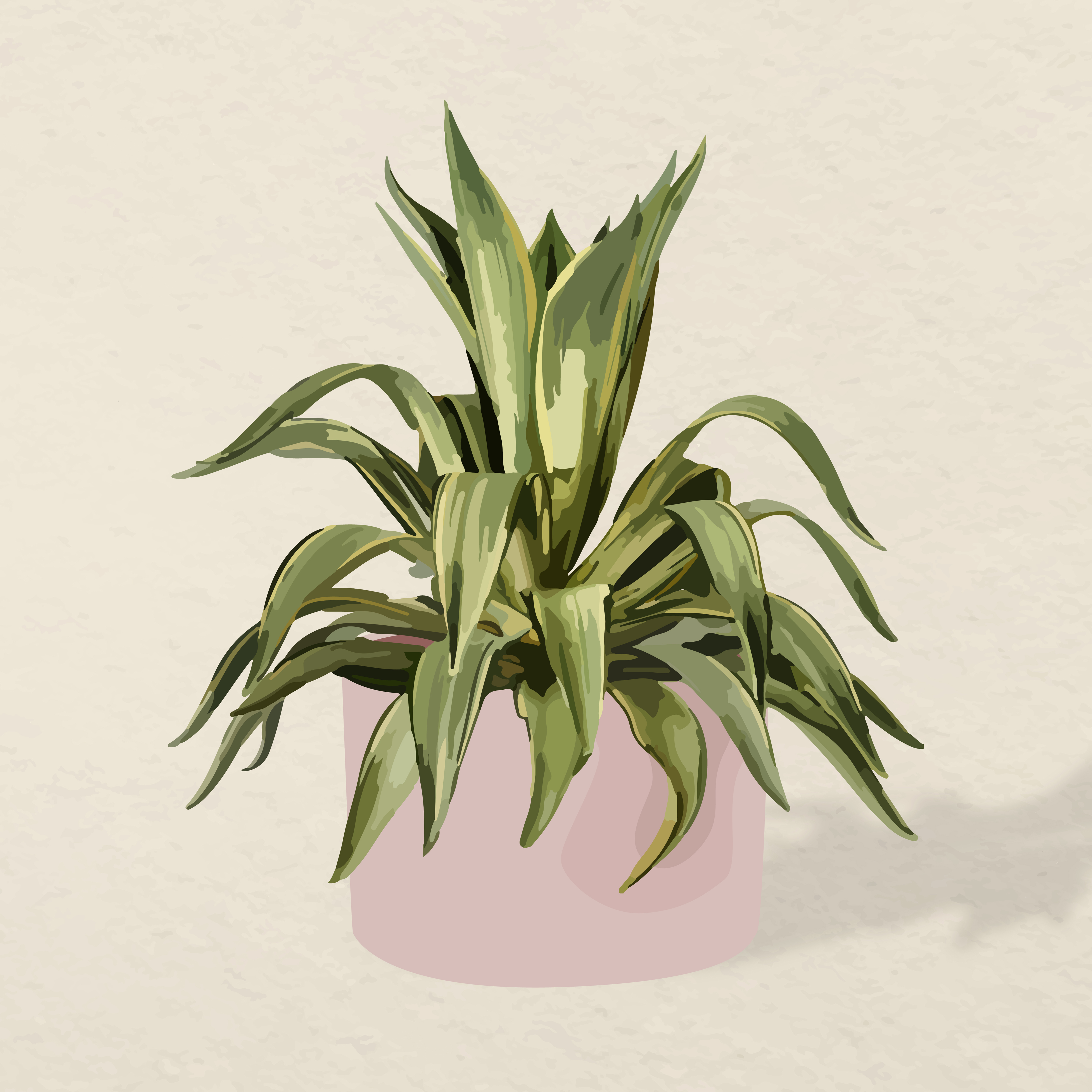 Small plant
