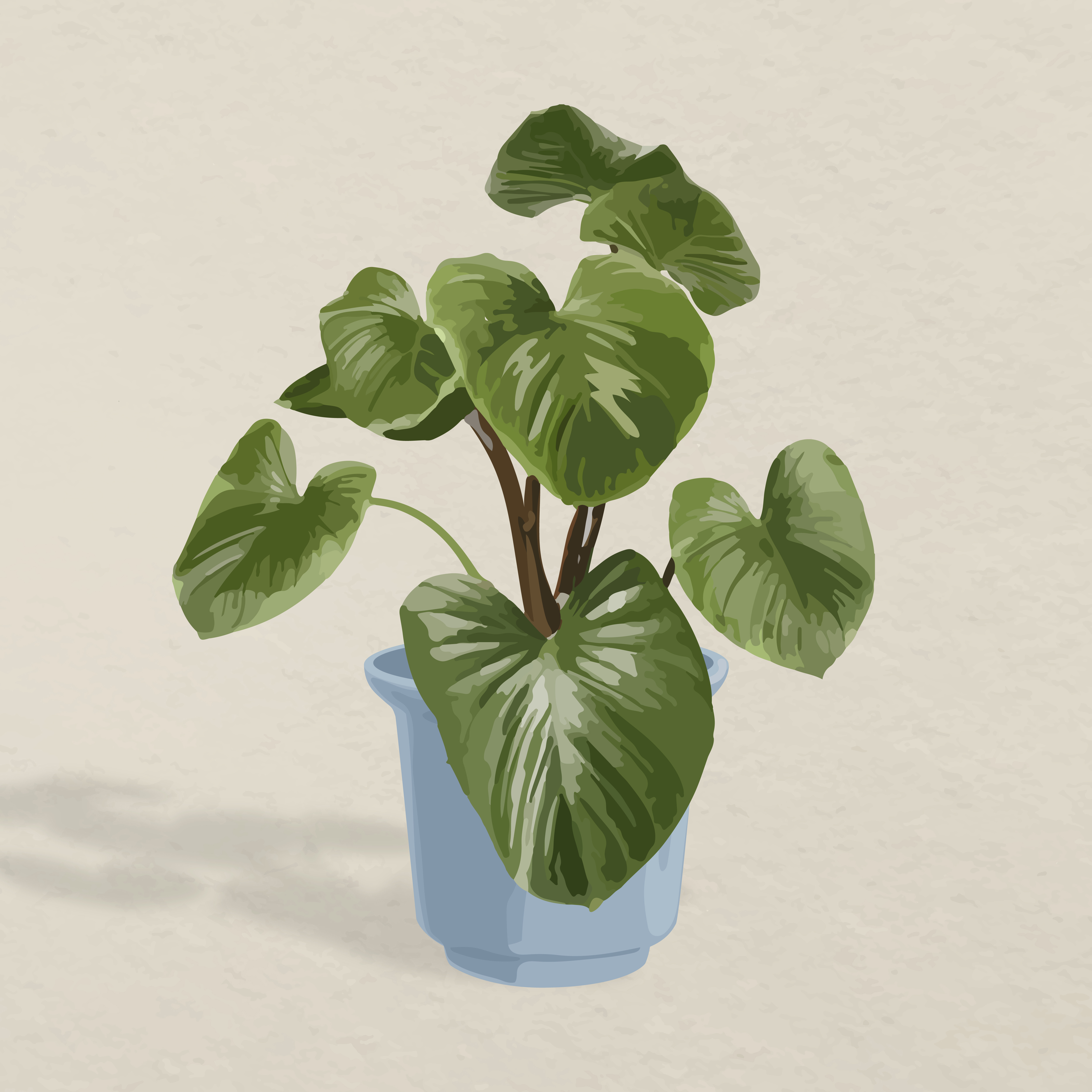 Potted plant